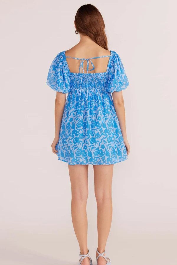 Mink Pink Enza Mini Dress // Blue Floral