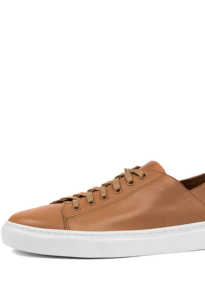 Mollini Oskher // Dark Tan Leather