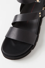 Mollini Caplan Sandals // Black