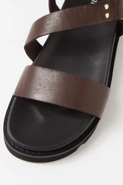 Mollini Caplan Sandals // Choc Black