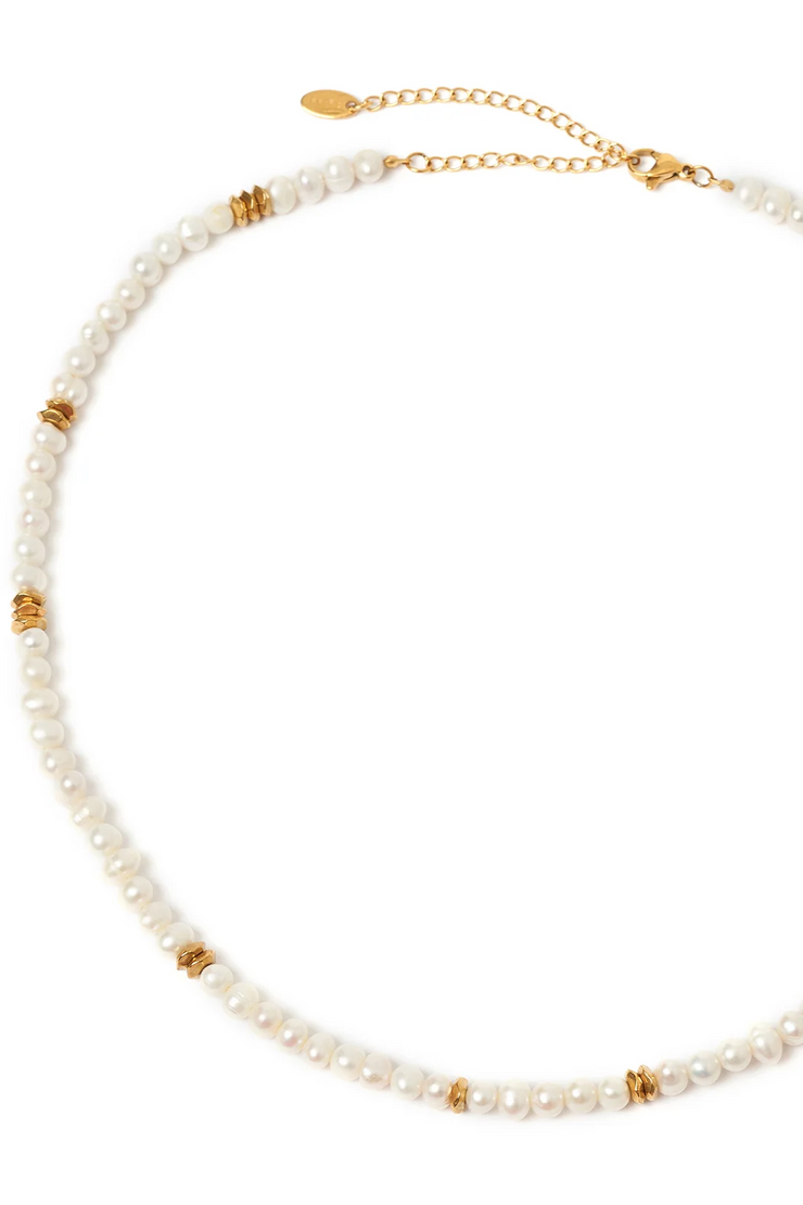 Arms of Eve Sloane Pearl Necklace // Gold
