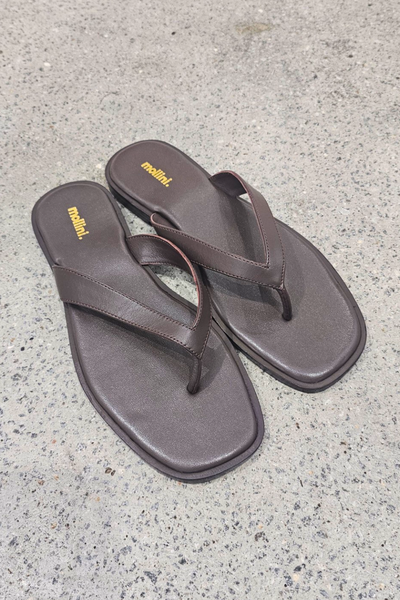 Mollini Juliena Thongs // Brown Leather