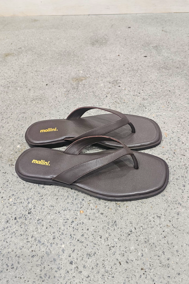 Mollini Juliena Thongs // Brown Leather